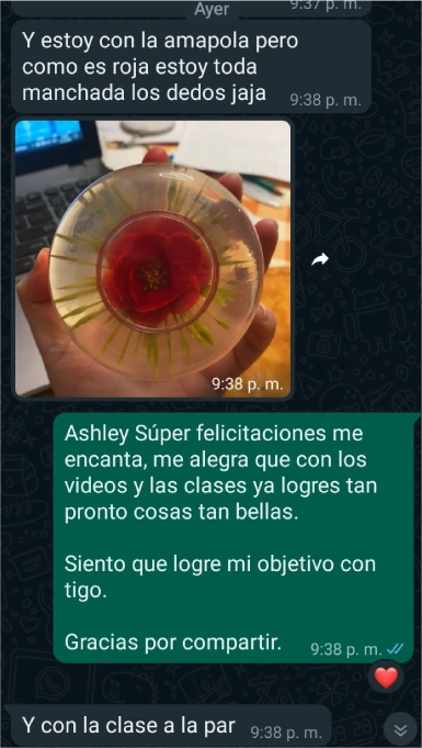 Recurso 26