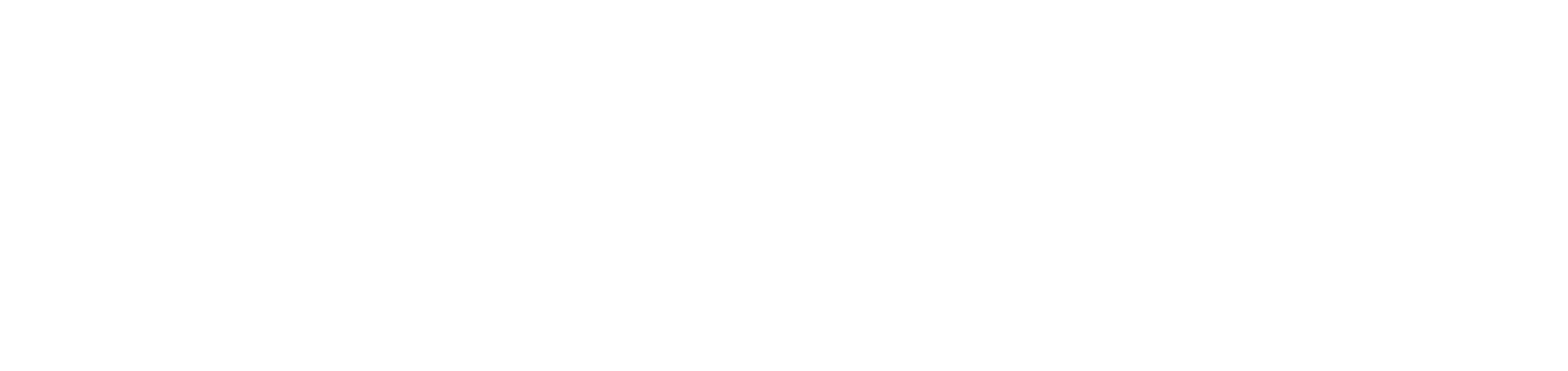 Logo Zulu Academy
